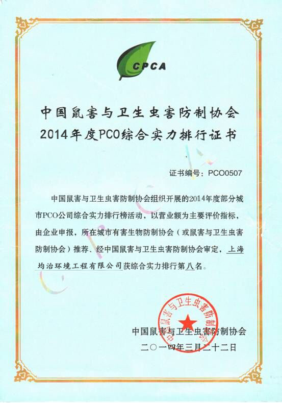 综合实力荣誉证书
